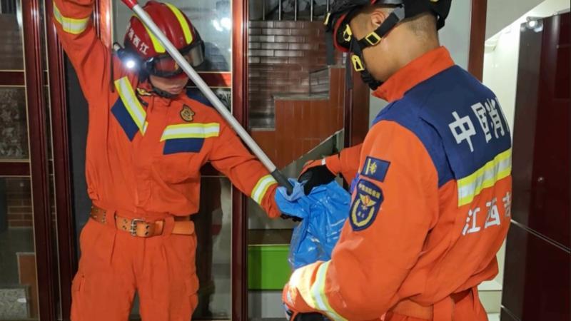 江西：多地眼镜蛇出没消防及时处置