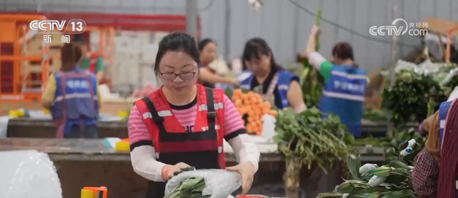 网络“小”切口撬动消费“大”市场 电商助力“美丽经济”绽放新活力 网络“小”切口撬动消费“大”市场 电商助力“美丽经济”绽放新活力