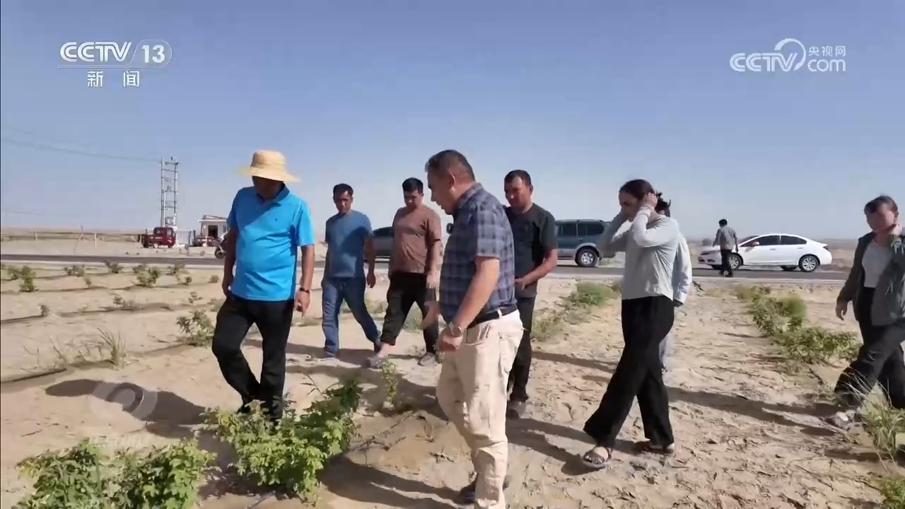 新疆突破想象的蜕变，藏着中国西部腾飞密码