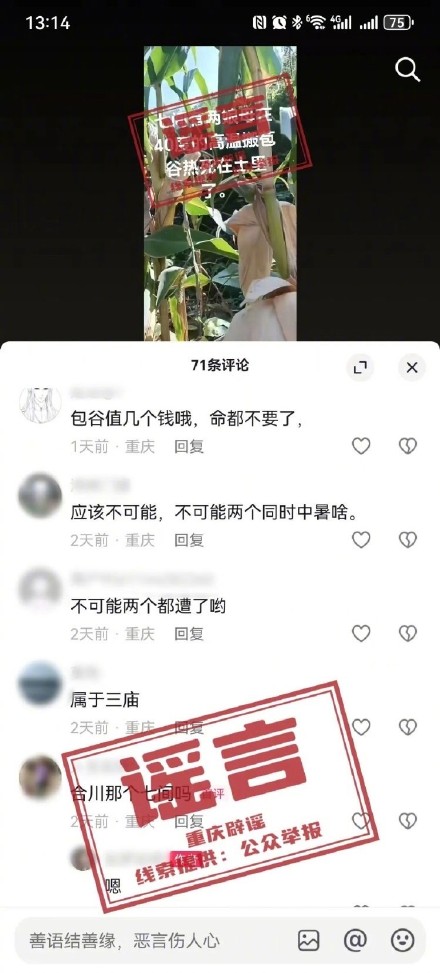 编造“合川两娘母高温搬苞谷热死”谣言，刘某被行拘