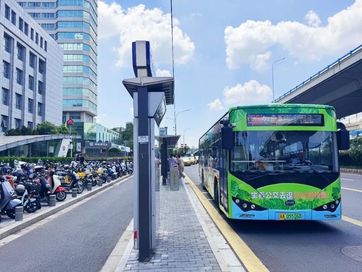 把红山动物园“搬”上车！南京最萌公交车来了