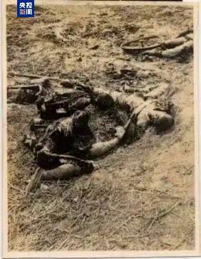 传递真相！这些照片记录侵华日军暴行