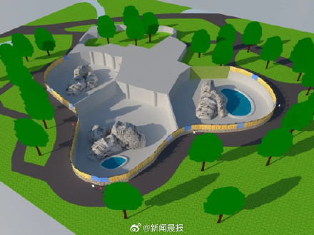 熊山展区游客投喂现象严重?上海动物园:将整改,加强物理防护 熊山展区游客投喂现象严重?上海动物园:将整改,加强物理防护