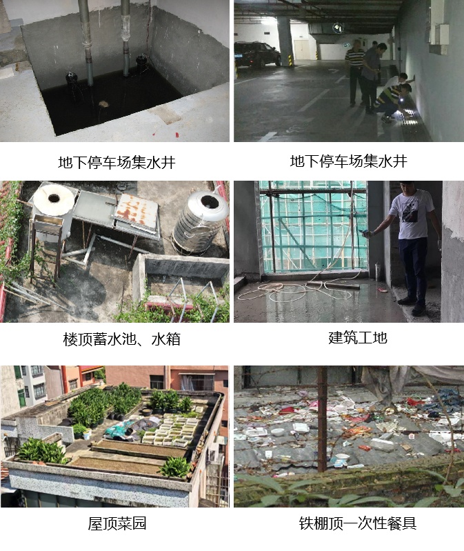 动起来！室内外所有蚊虫孳生地，7招快速清除→