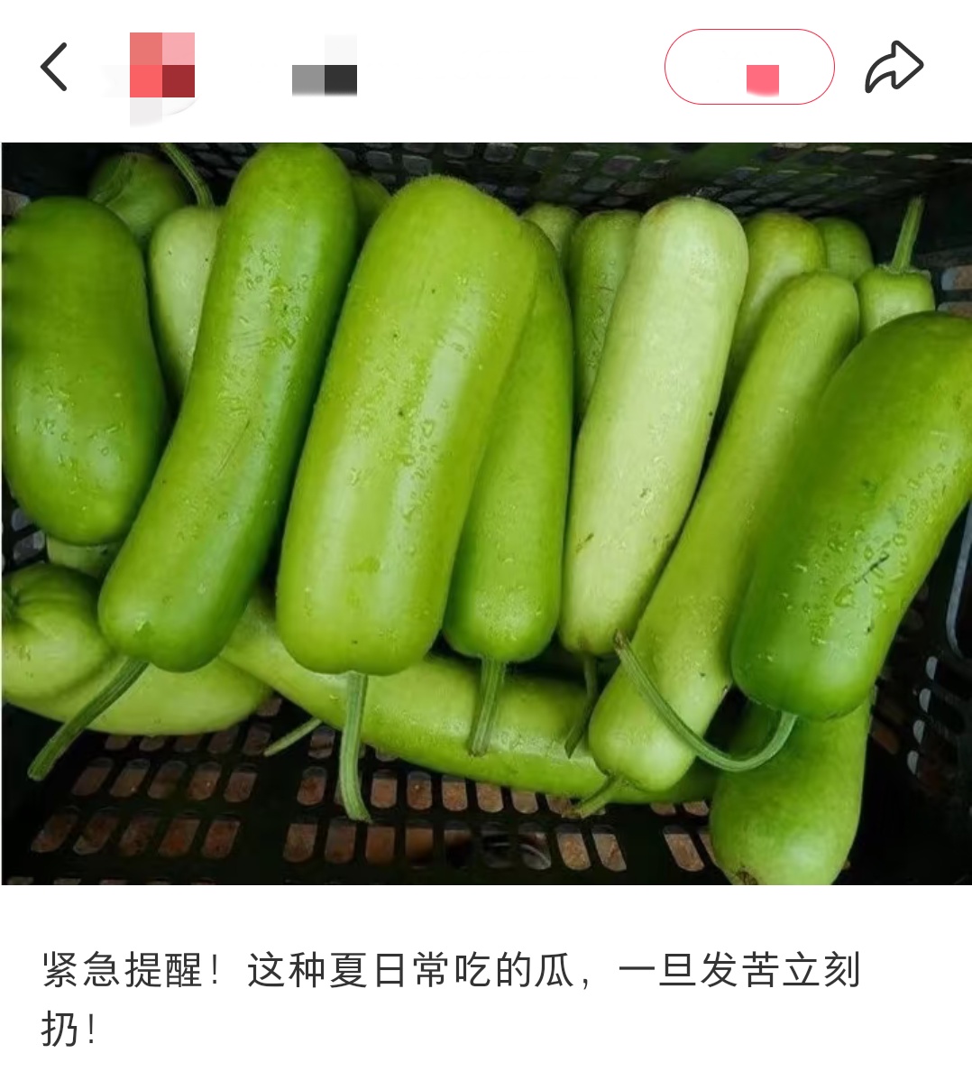 有毒！吃到发苦的赶紧吐掉