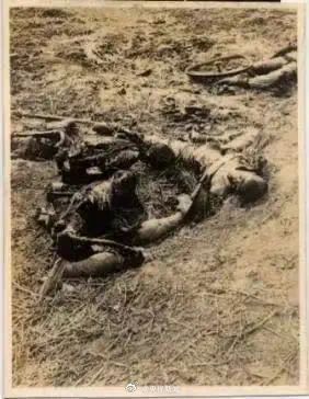 传递真相！一张张照片里的侵华日军暴行