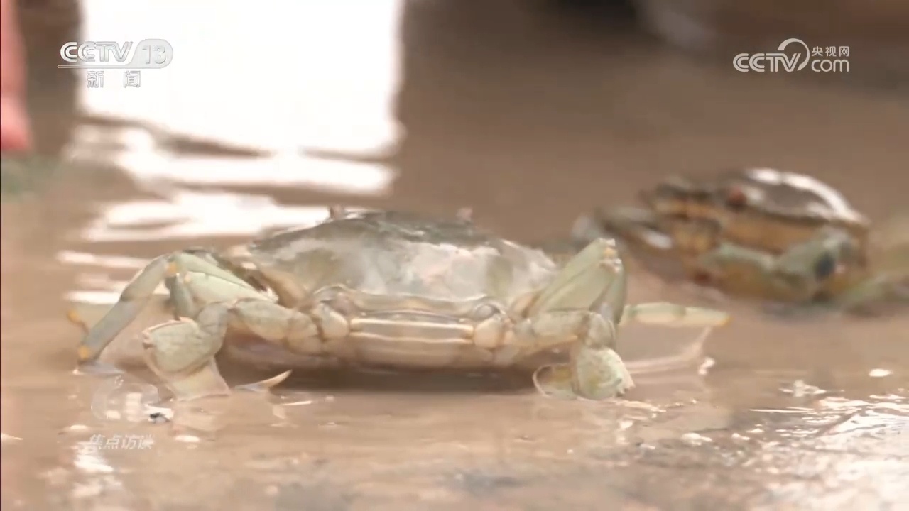 新疆突破想象的蜕变，藏着中国西部腾飞密码