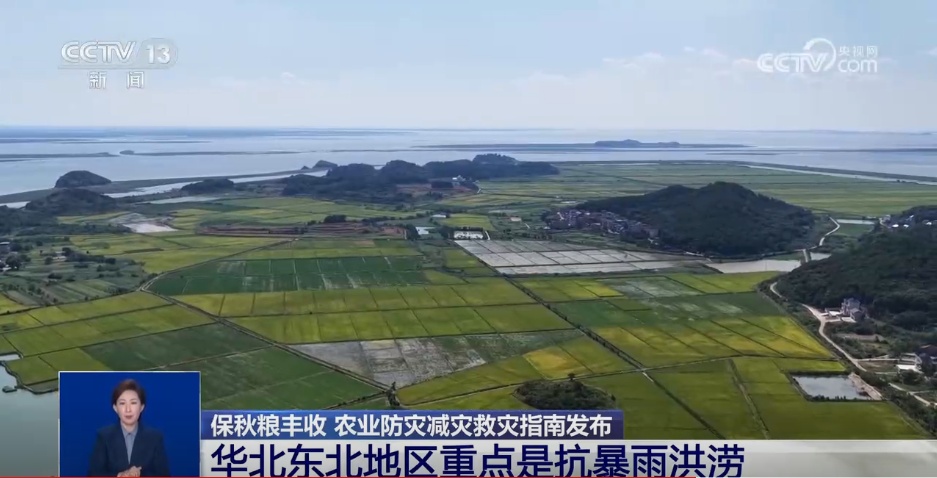 战旱情、保秋收 多部门多管齐下守护粮食安全