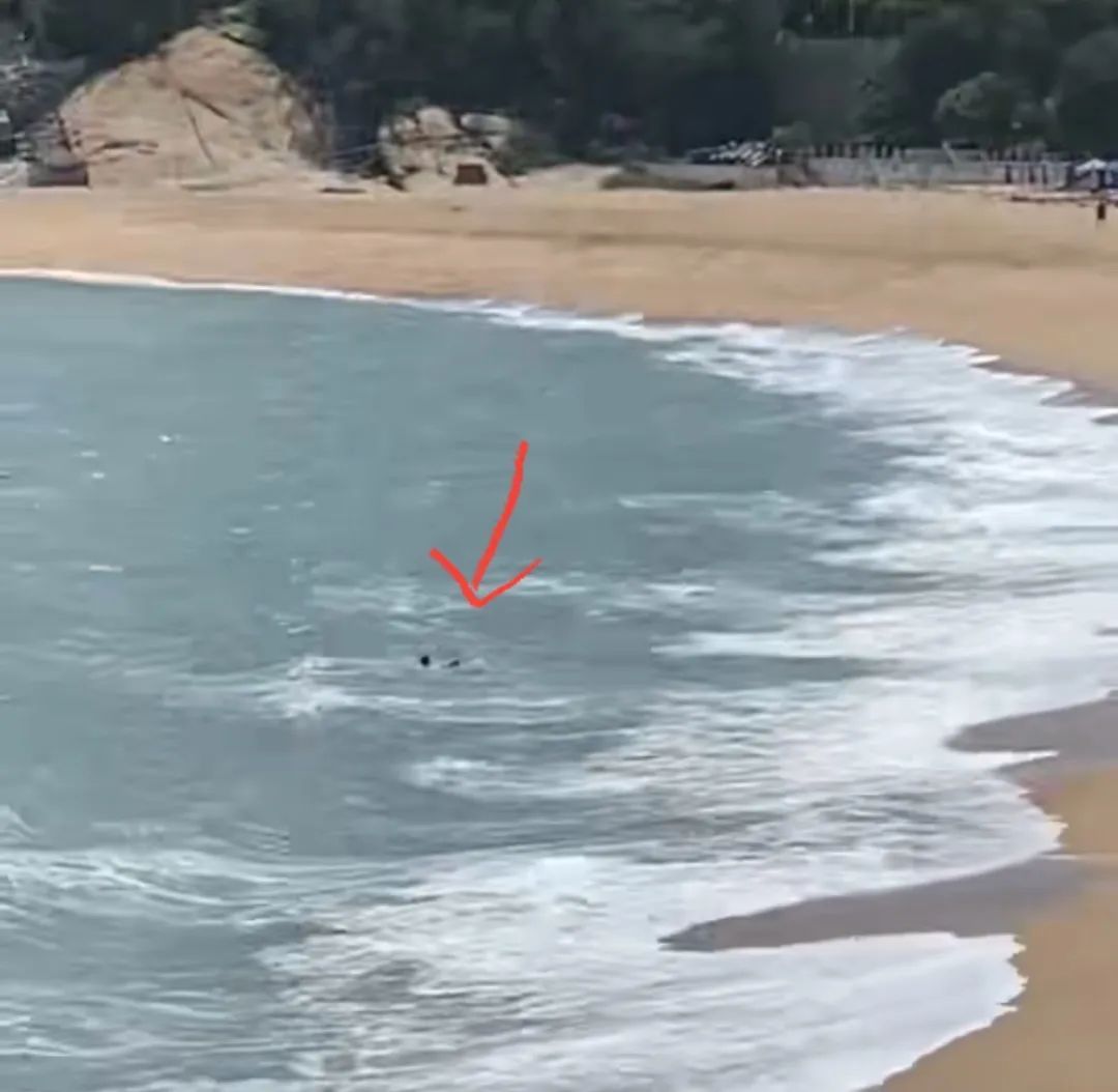 江西小伙顶着凶险海浪勇救8岁落海男童：数次被海浪拍翻最后没了力气，离死亡最近一次