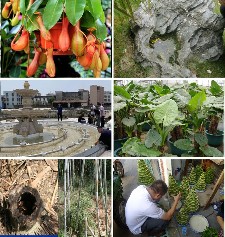 动起来！室内外所有蚊虫孳生地，7招快速清除→