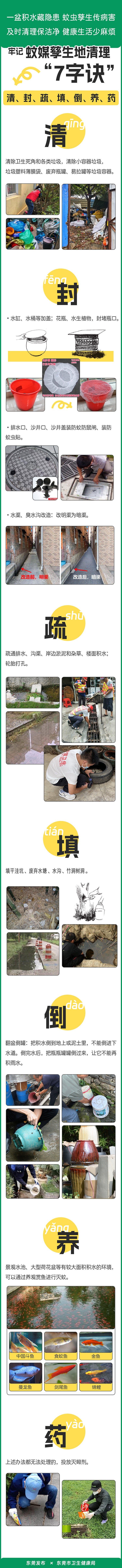 动起来！室内外所有蚊虫孳生地，7招快速清除→