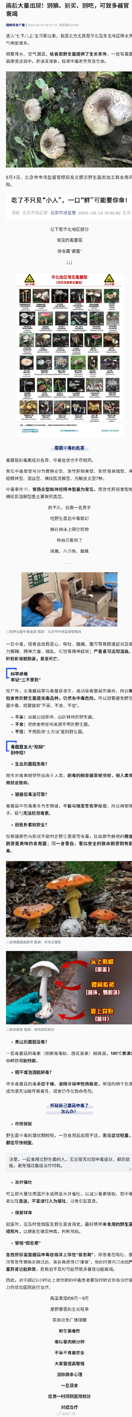 雨后见到这些蘑菇千万别采别吃