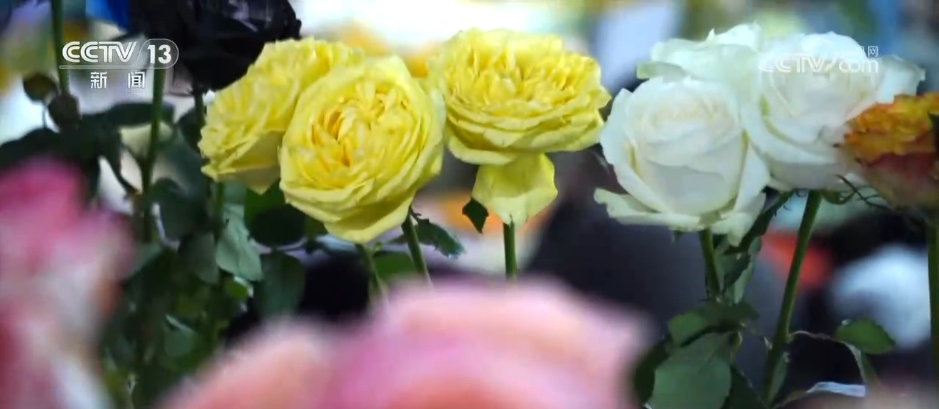 网络“小”切口撬动消费“大”市场 电商助力“美丽经济”绽放新活力 网络“小”切口撬动消费“大”市场 电商助力“美丽经济”绽放新活力