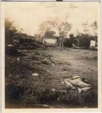 触目惊心，这本相册上写了一个“惨”字……