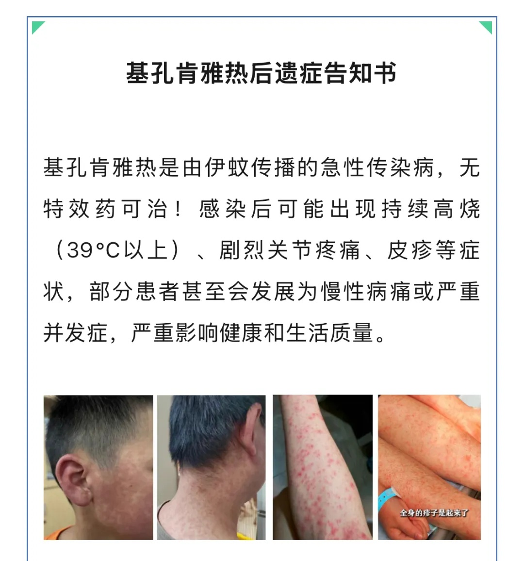 周产五百万只“绝育雄蚊”！强势阻击基孔肯雅热！网友关心的“后遗症”是怎么回事？