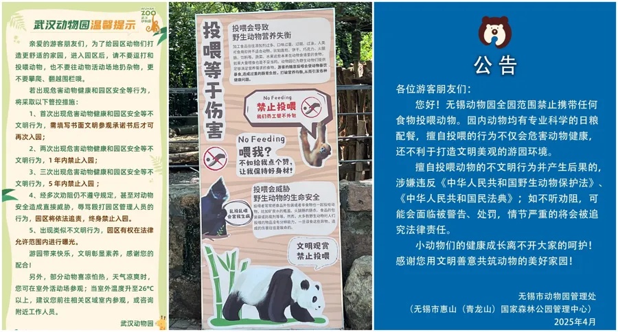 不是爱，是“害”！上海动物园“顶流网红”频遭投喂，甚至还被喂了干燥剂？