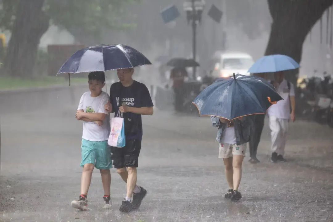 暴雨，大暴雨！广东一地发布“五停”通知，16地市启动应急响应