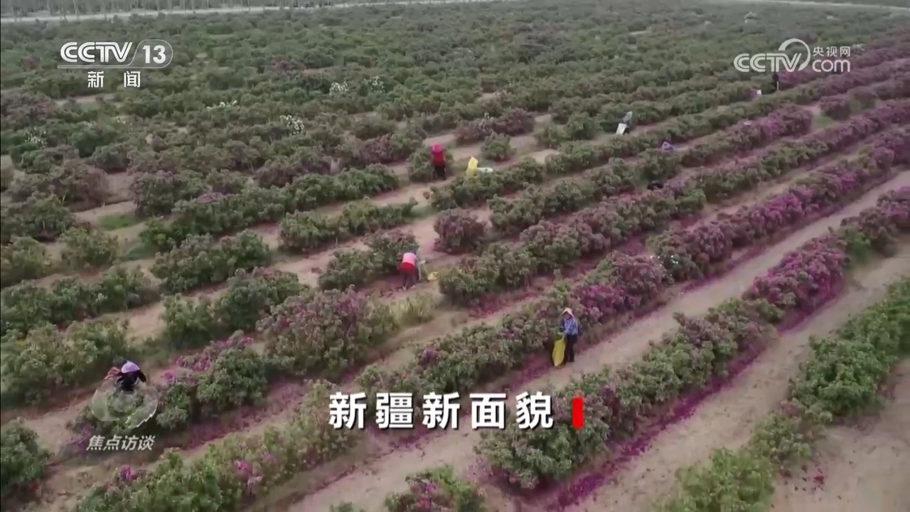 新疆突破想象的蜕变，藏着中国西部腾飞密码
