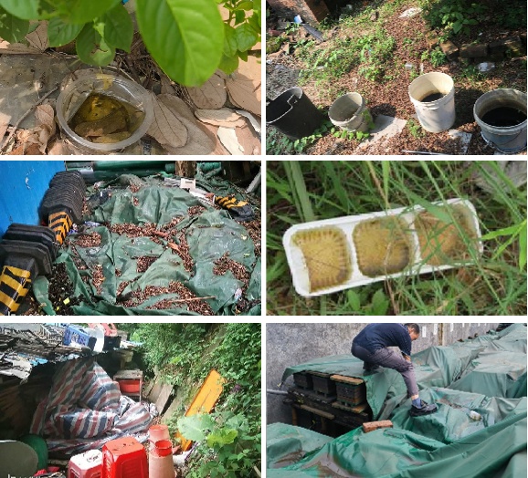 动起来！室内外所有蚊虫孳生地，7招快速清除→