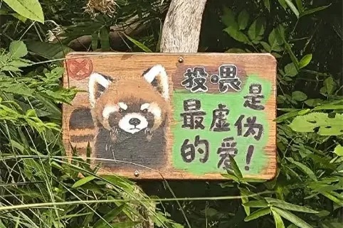 不是爱，是“害”！上海动物园“顶流网红”频遭投喂，甚至还被喂了干燥剂？