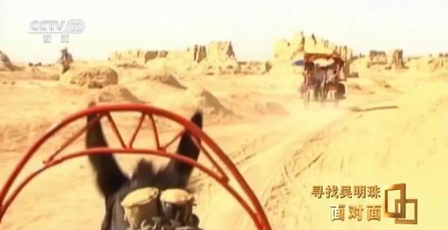 “母亲这一辈子，心里最爱的就是她的瓜！”