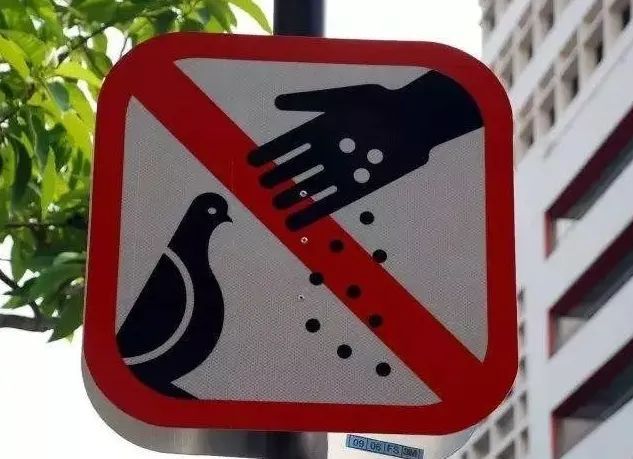 不是爱，是“害”！上海动物园“顶流网红”频遭投喂，甚至还被喂了干燥剂？