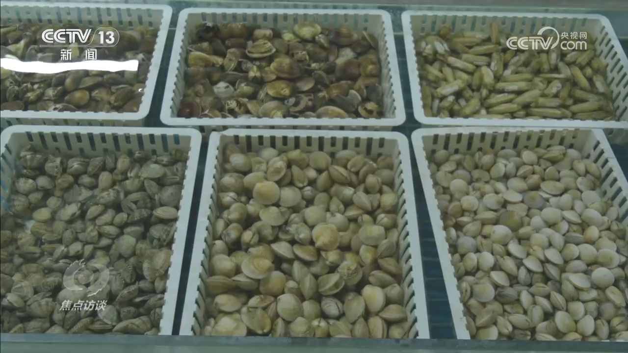 新疆突破想象的蜕变，藏着中国西部腾飞密码