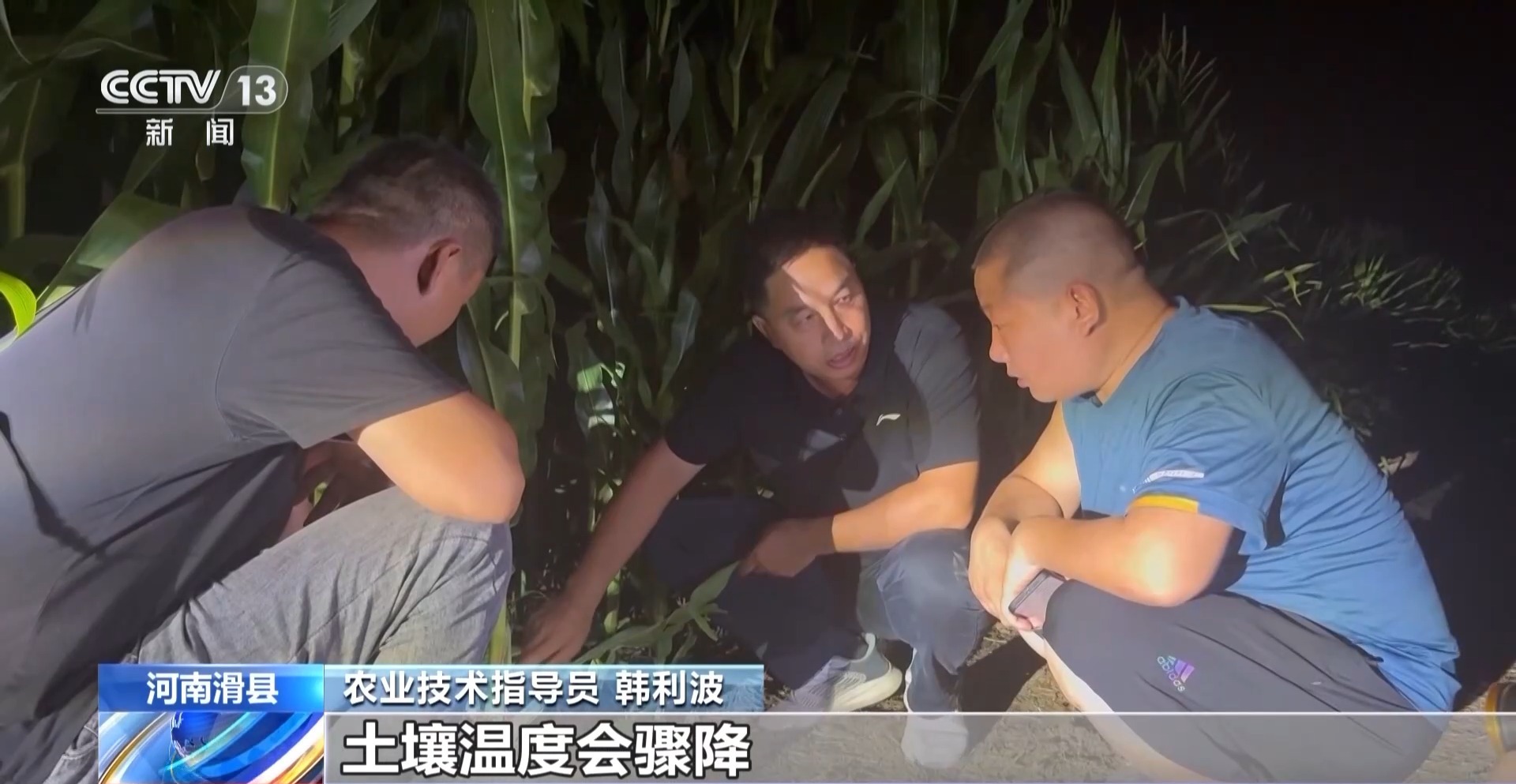 河南7月平均气温破64年最高纪录 农业生活用水是否被影响?何时缓解? 河南7月平均气温破64年最高纪录 农业生活用水是否被影响?何时缓解?