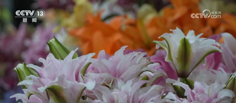 网络“小”切口撬动消费“大”市场 电商助力“美丽经济”绽放新活力 网络“小”切口撬动消费“大”市场 电商助力“美丽经济”绽放新活力