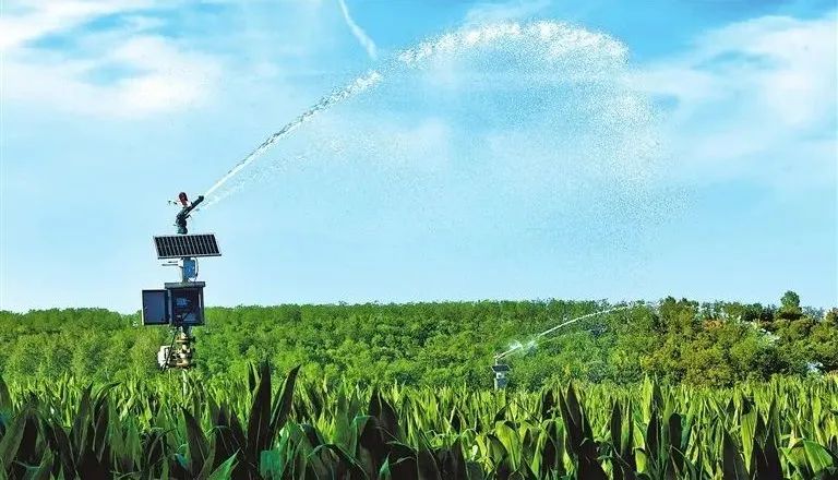 雨在路上！抗旱保秋，河南怎么做？