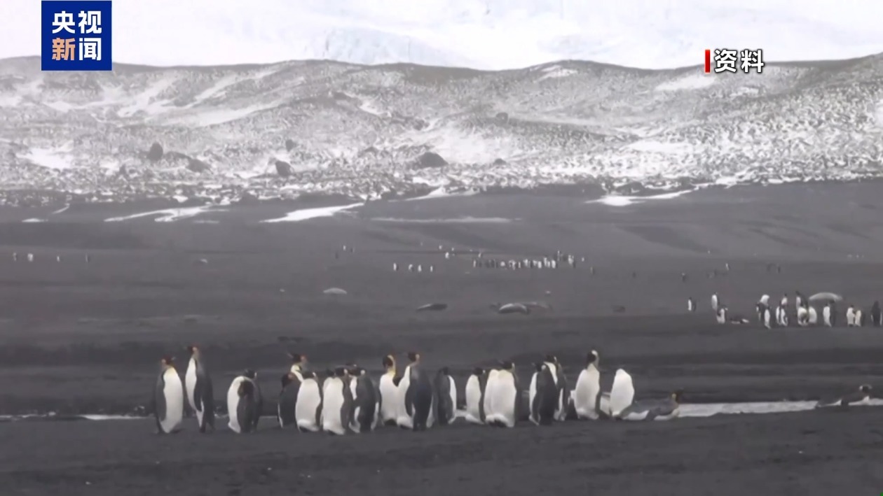 气候变化导致亚南极地区赫德岛近四分之一冰川融化