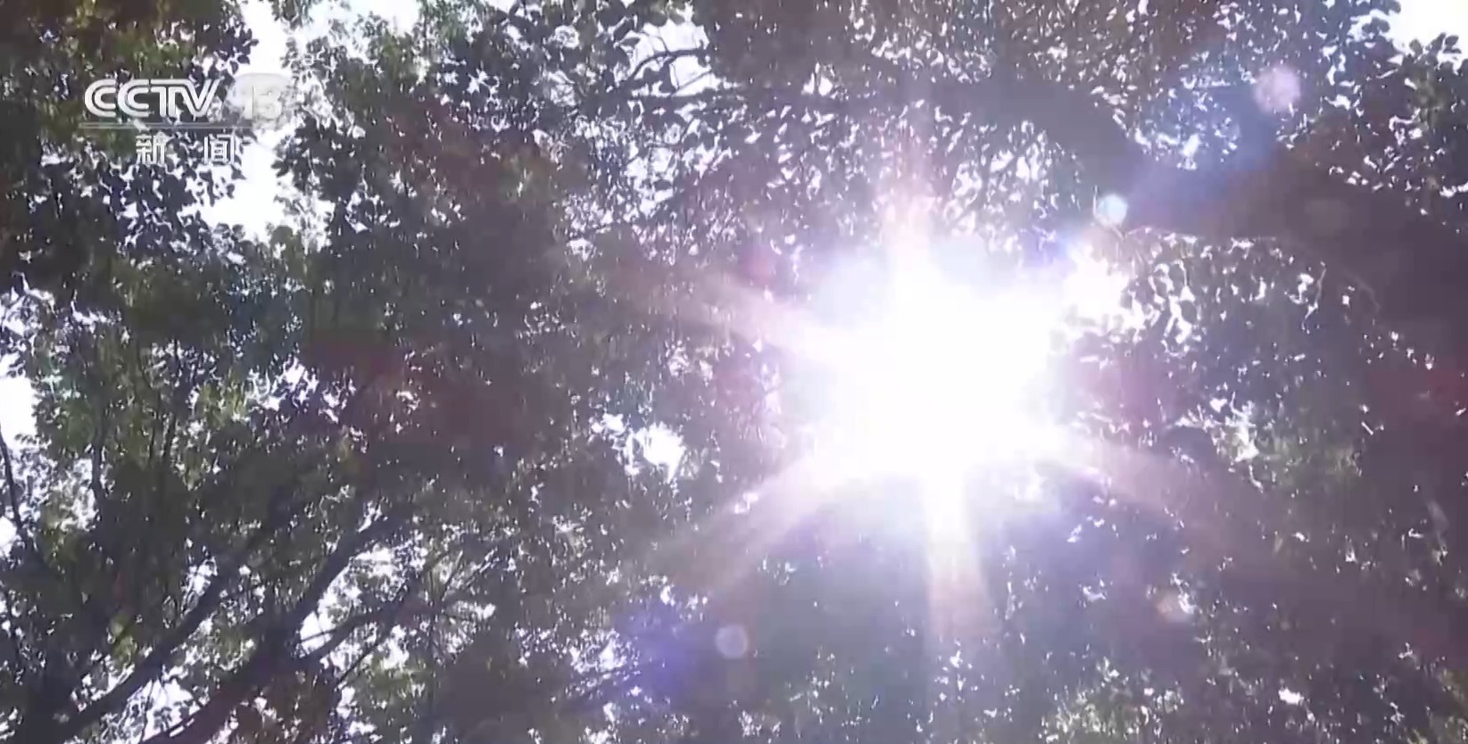 河南7月平均气温破64年最高纪录 农业生活用水是否被影响?何时缓解? 河南7月平均气温破64年最高纪录 农业生活用水是否被影响?何时缓解?