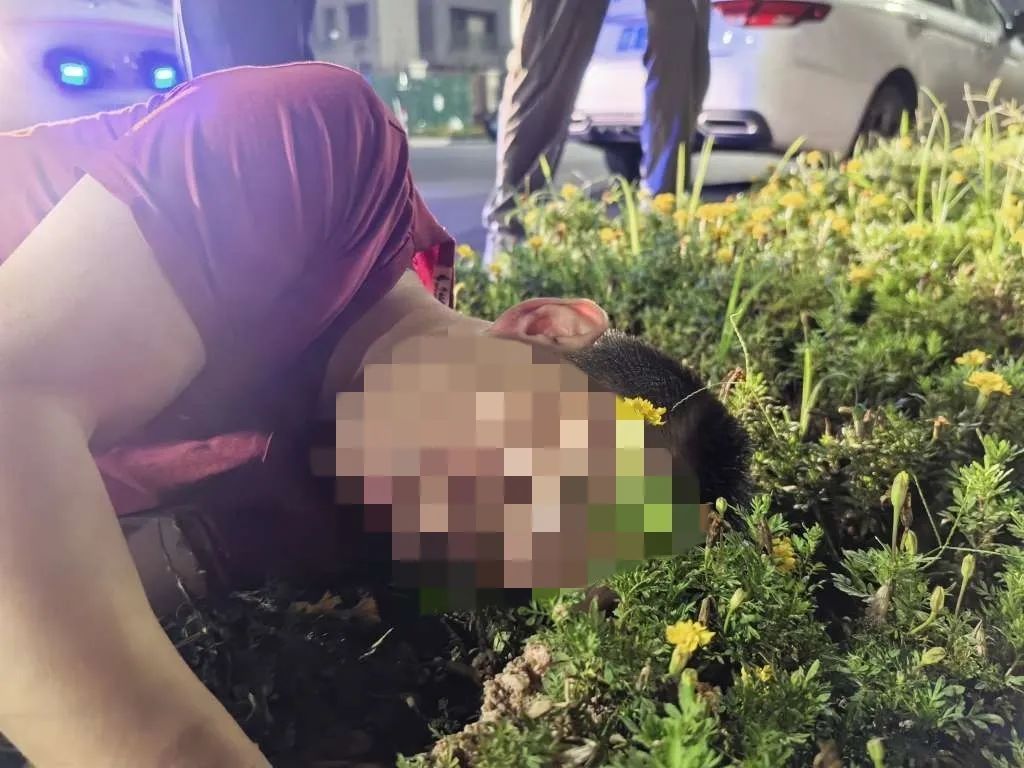 “我2006年的,40多岁了”! “我2006年的,40多岁了”!