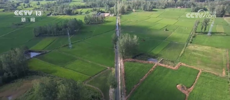 抗旱保供与时间赛跑 各地全力应对持续高温天气