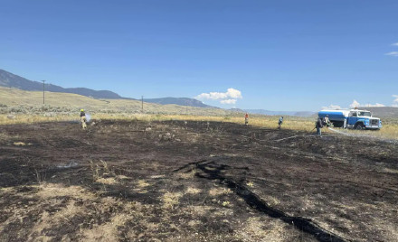 从天而降的鱼引发加拿大林火 涉事“嫌疑鸟”仍在逃