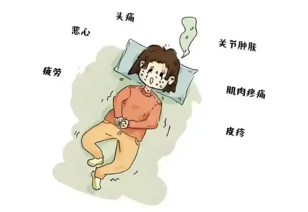 一只蚊子杀死你的概率很小，但绝对不是0