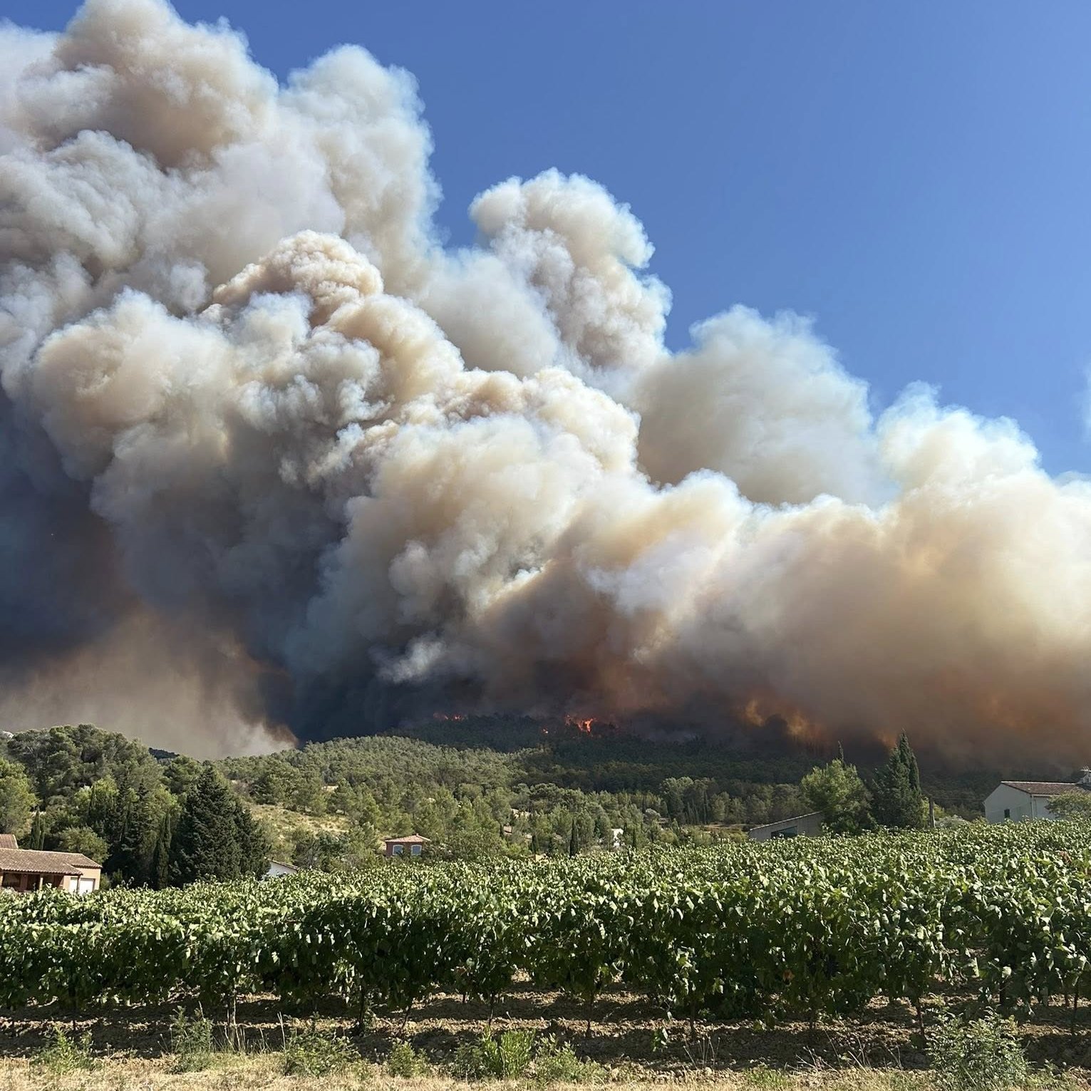 法国南部发生森林大火 过火面积达1500公顷