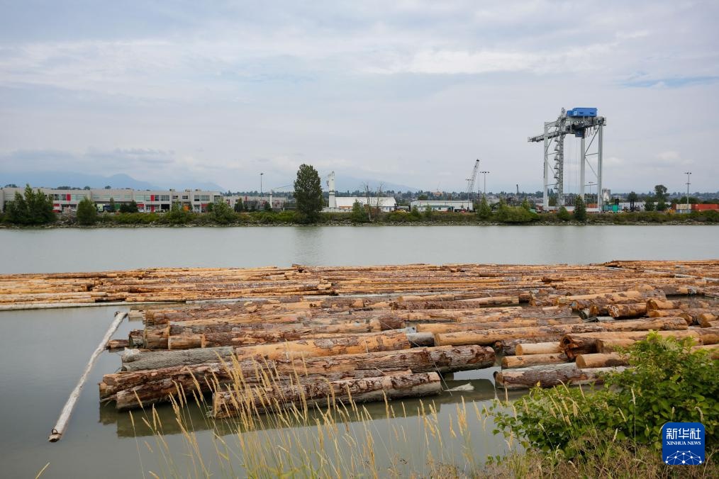 加拿大宣布提供12亿加元支持软木材行业发展