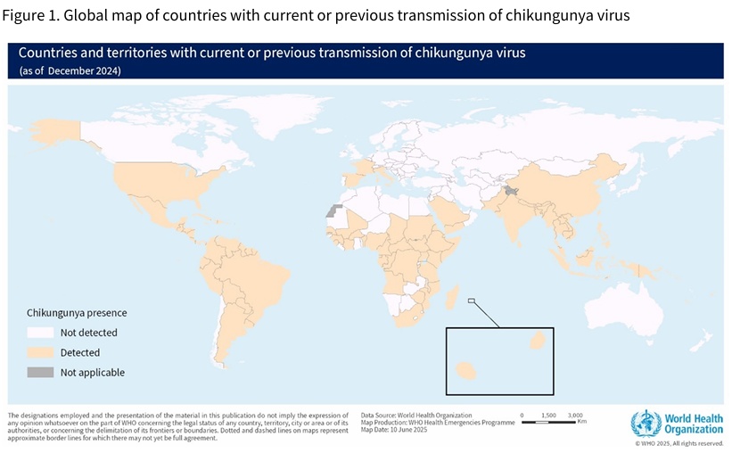 一只蚊子杀死你的概率很小，但绝对不是0