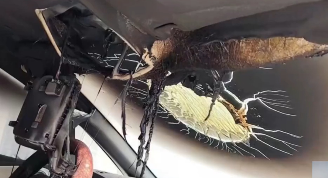 女子刚买2年的车子起火烧坏?调查还原,“真凶”竟是TA 女子刚买2年的车子起火烧坏?调查还原,“真凶”竟是TA