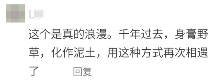 给曹操送布洛芬，给霍去病送零食奶茶？网友“花式扫墓”脑洞大开