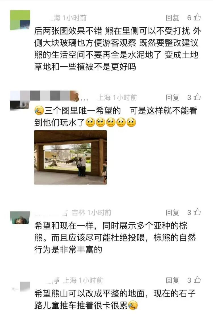 杜绝投喂！昔日网红“西郊潦草小熊”已出现乞食行为！上海动物园熊狼展区将进行改造