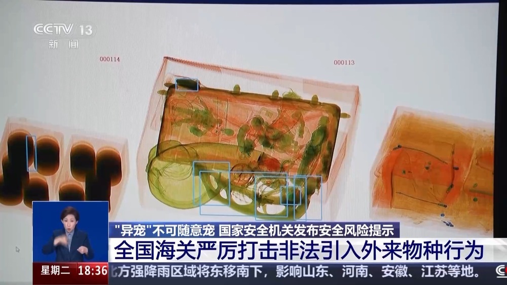 “异宠”不可随意宠 国家安全机关发布安全风险提示