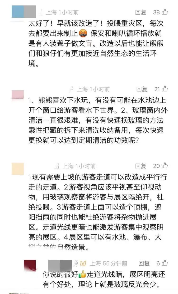 杜绝投喂！昔日网红“西郊潦草小熊”已出现乞食行为！上海动物园熊狼展区将进行改造