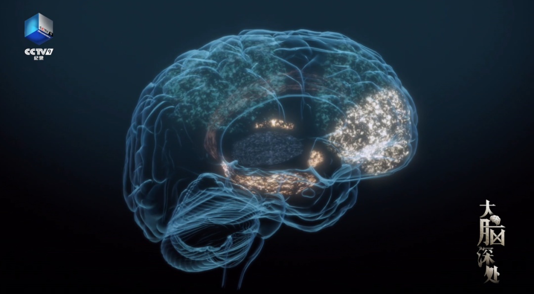 警惕！很多人的大脑中竟然藏着一个“塑料勺子”？这5个习惯赶紧改掉