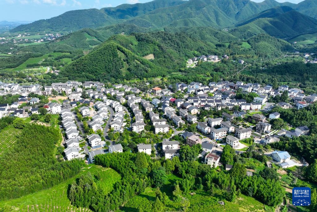 活力中国调研行｜杭州径山村的绿色新活力