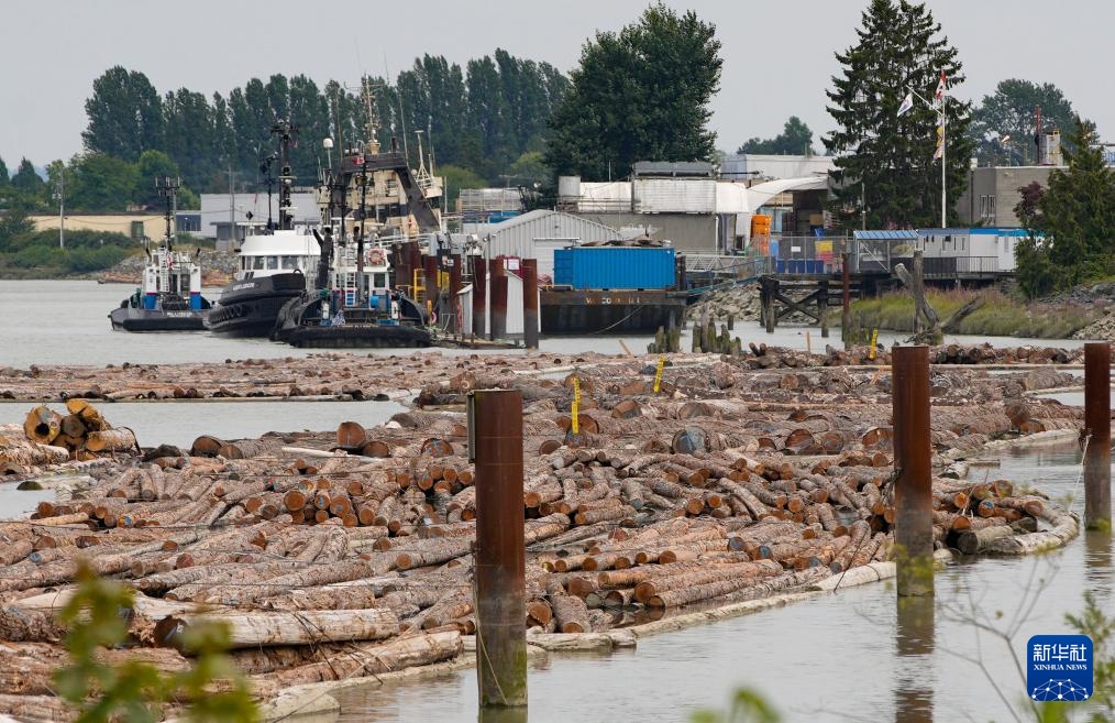 加拿大宣布提供12亿加元支持软木材行业发展