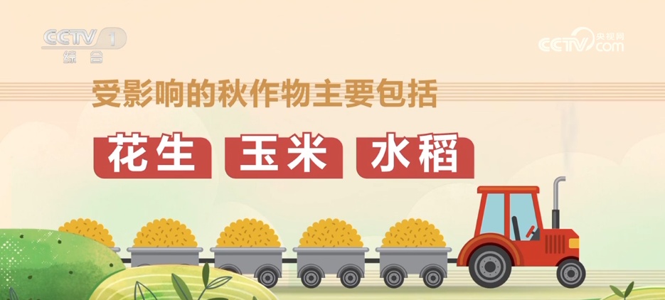 抗旱保供与时间赛跑 各地全力应对持续高温天气