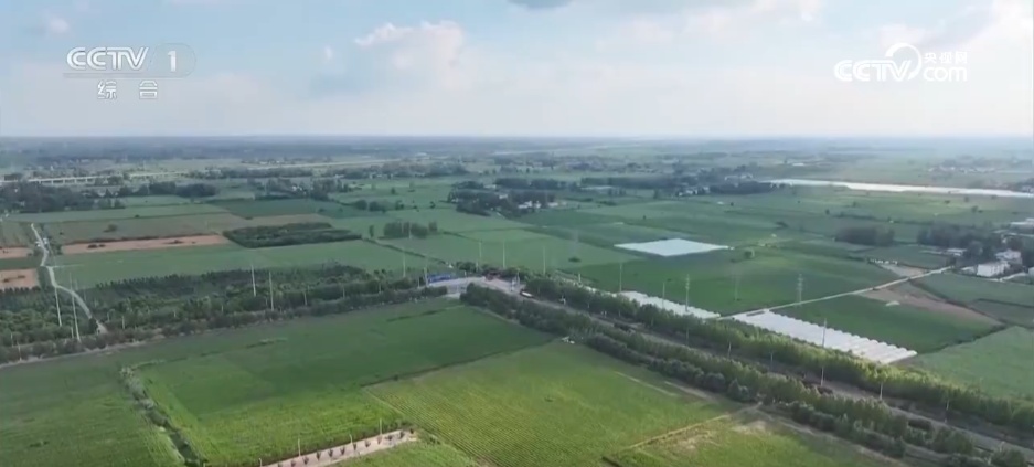 抗旱保供与时间赛跑 各地全力应对持续高温天气