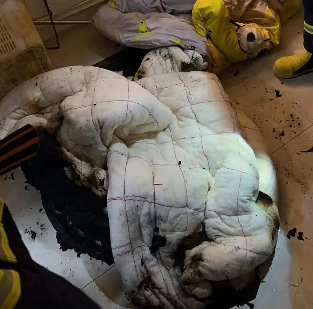 8岁女孩差点烧了家!家长们,这些防火知识快教给孩子 8岁女孩差点烧了家!家长们,这些防火知识快教给孩子